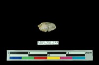 藏品(水晶)的圖片